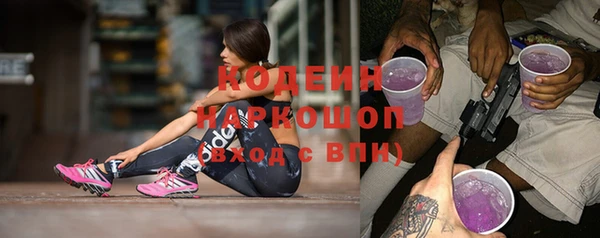 хмурый Дмитровск