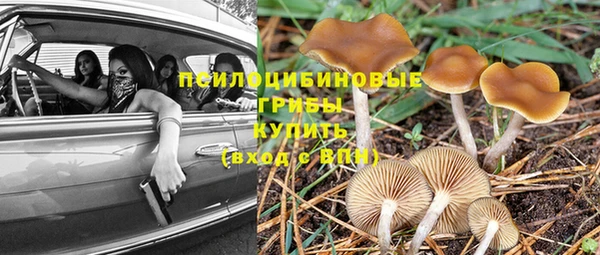 не бодяженный Дмитриев