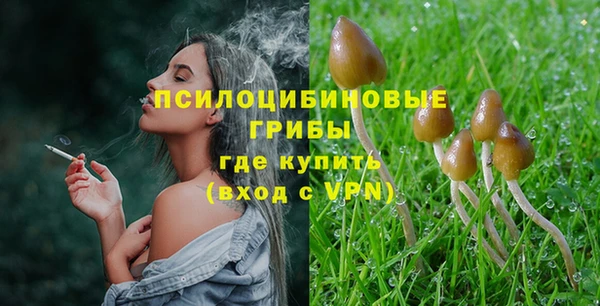 не бодяженный Дмитриев