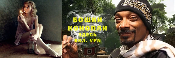 не бодяженный Дмитриев
